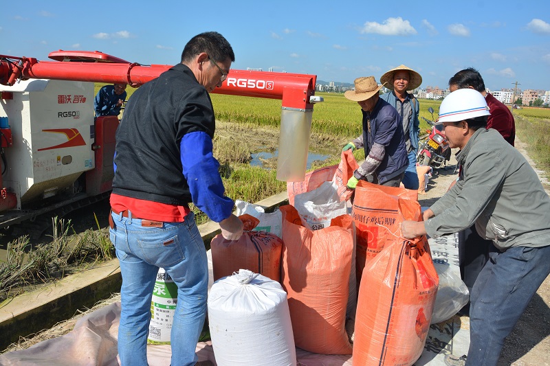 1727664636712804.jpg 4.jpg