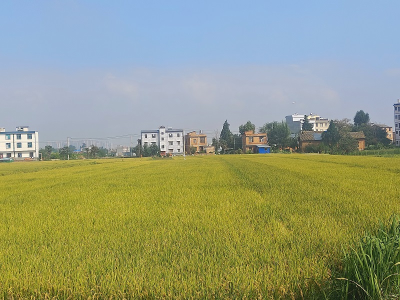 1727664658147051.jpg 5.jpg