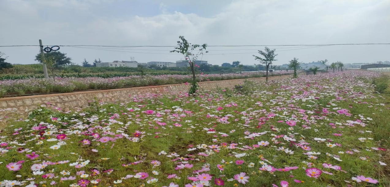 1728377004187046.png 8.png