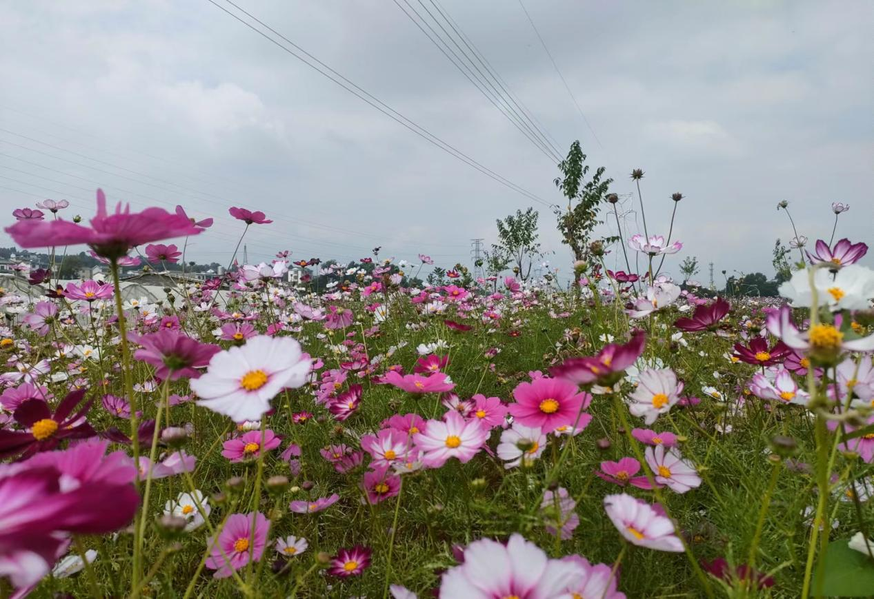 1728377023905064.png 9.png