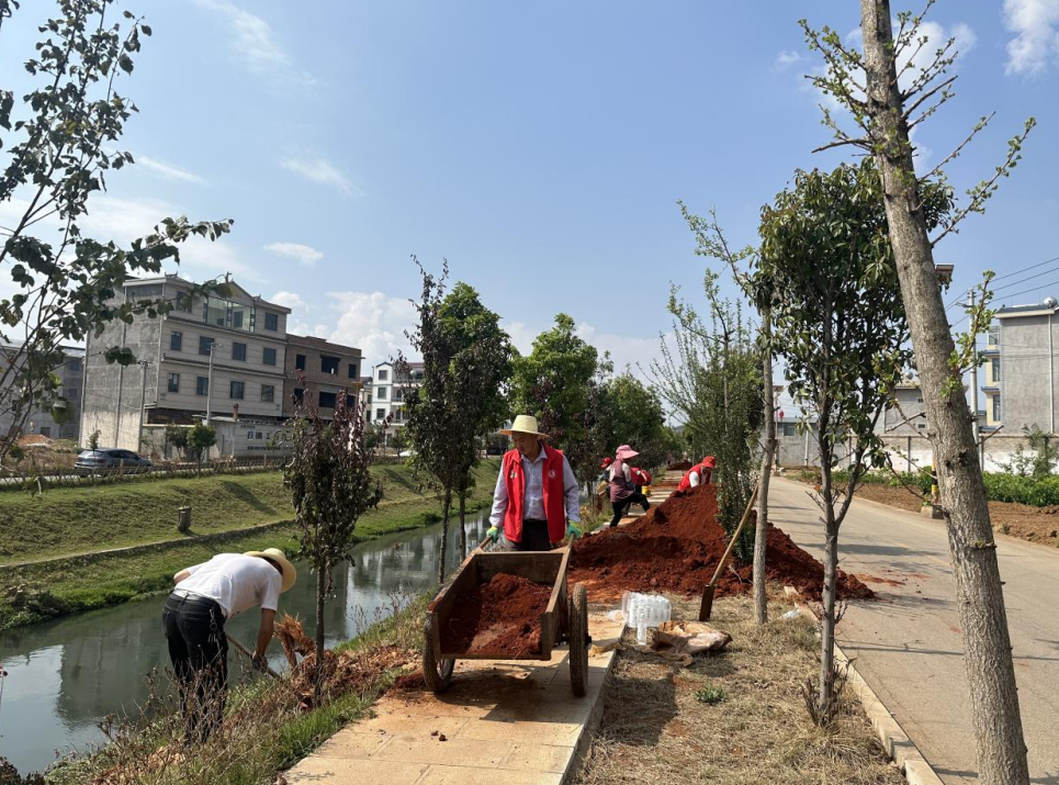 1728377072417645.jpg 1728377062264.jpg