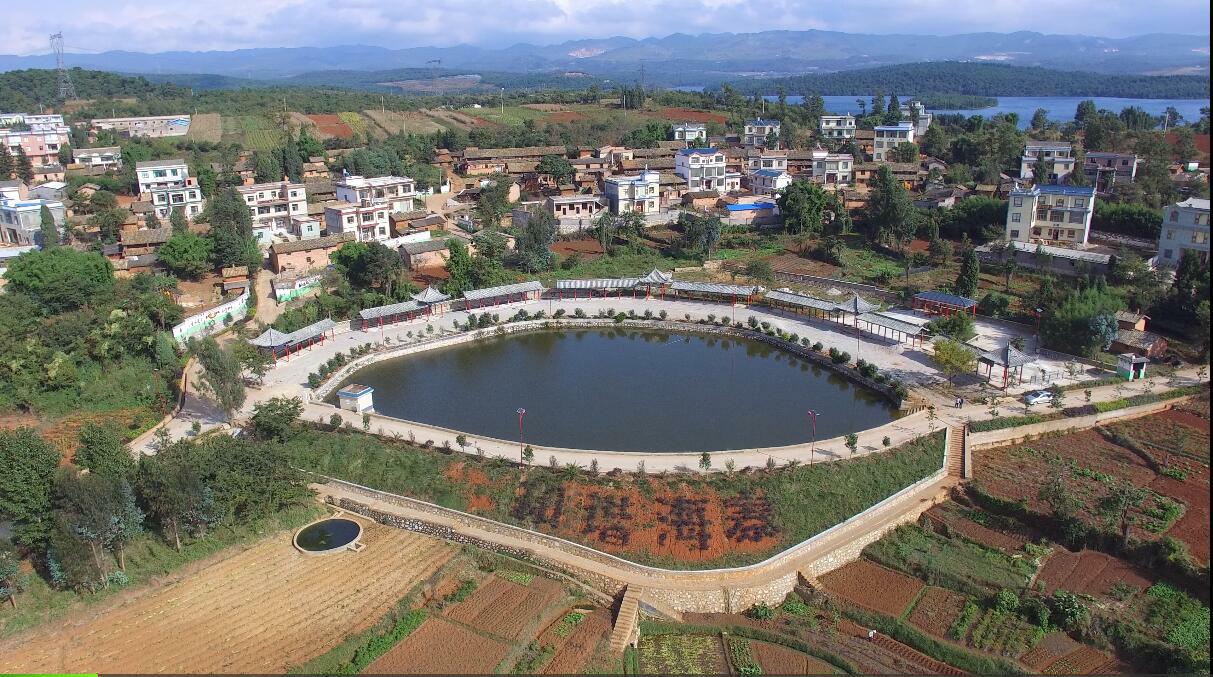 1730106903555909.jpg 1.jpg