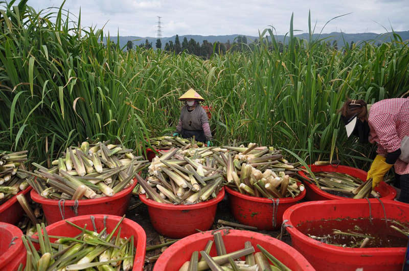 1730683311765504.png 1.png