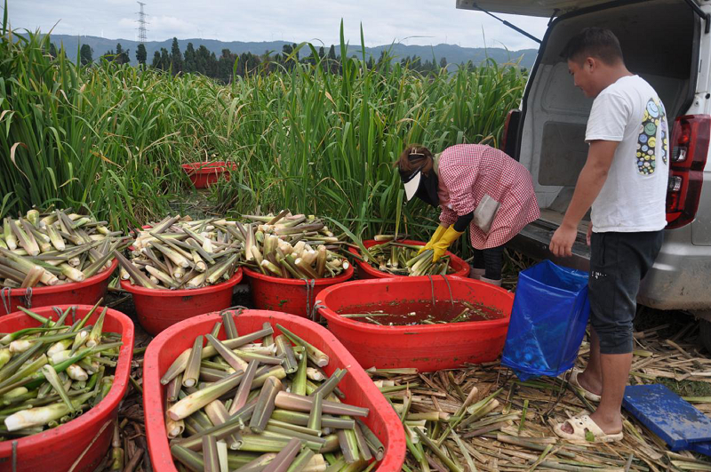 1730683354730746.png 3.png