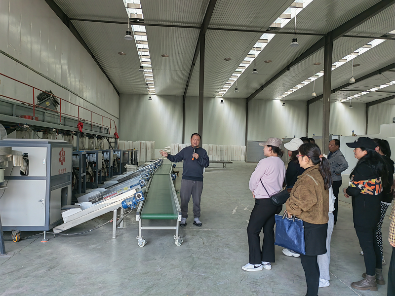 1731288144329844.png 1.png