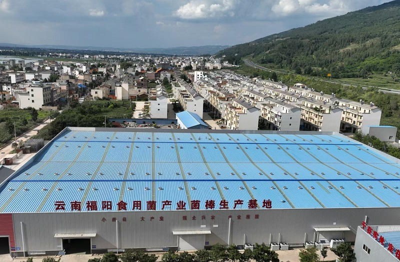 1731288168772221.jpg 2.jpg