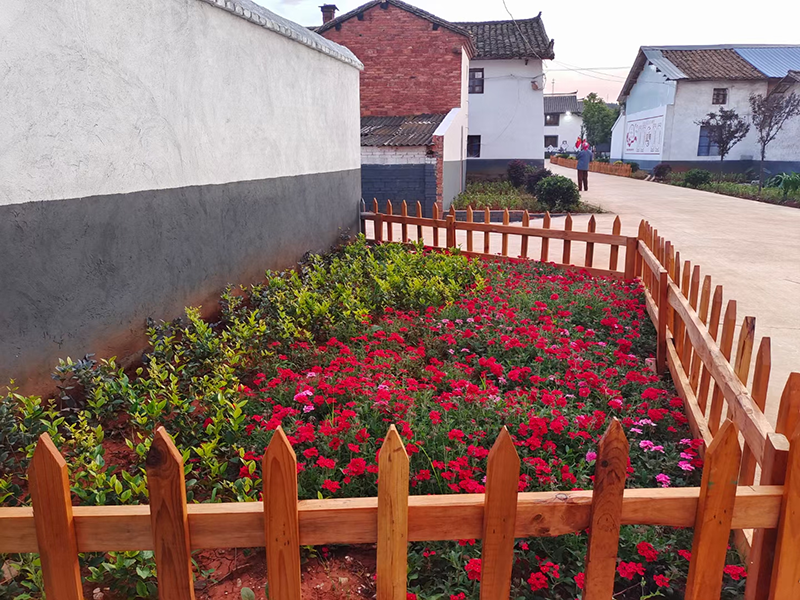 1732787160730829.png 02.png