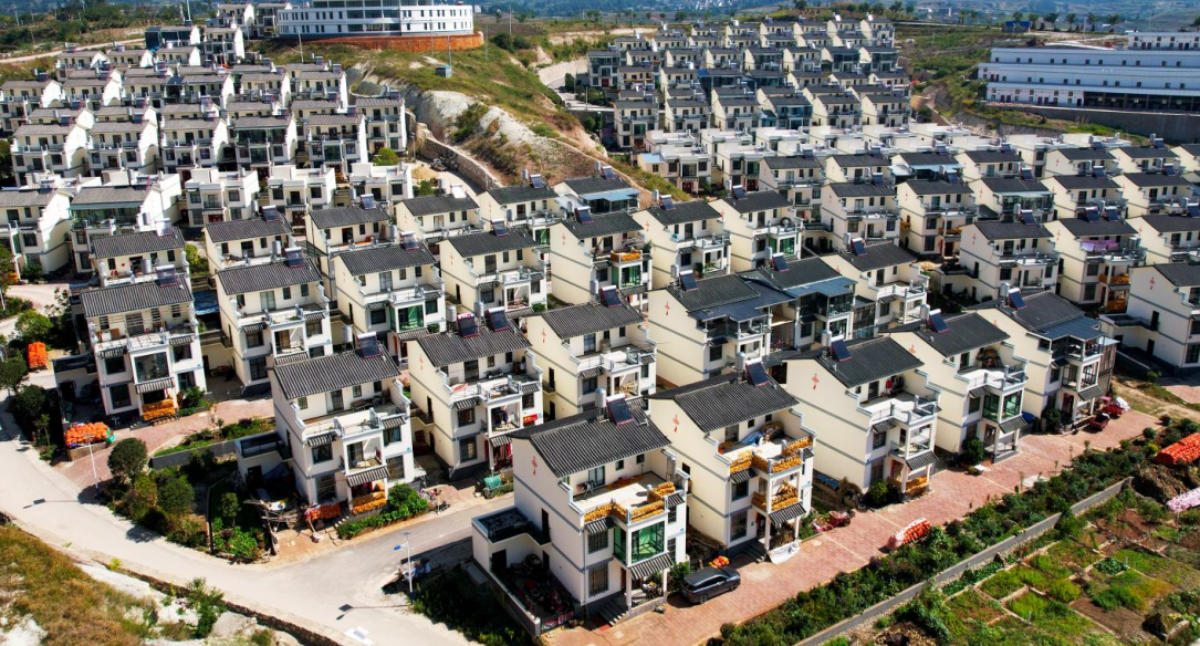 1733470258113558.jpg 1733470230610.jpg