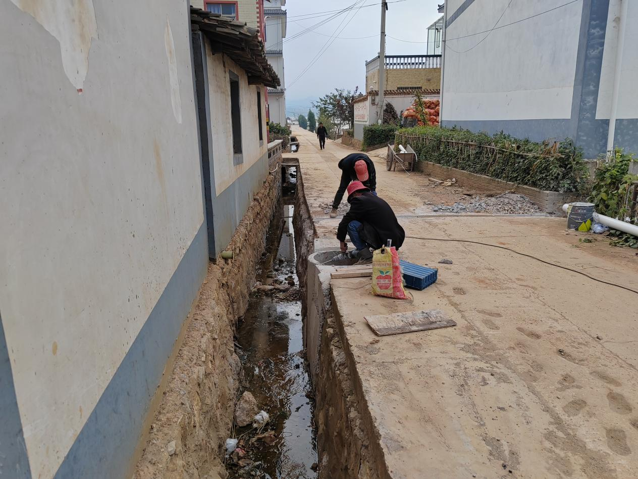 1733470465507231.png 1.png