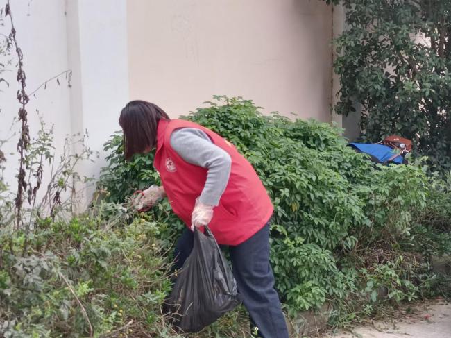 1735003663575890.jpg 3.jpg