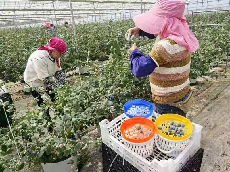 1742282320878671.jpg 1741834628929064644.jpg