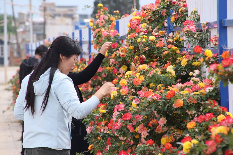 1746517406979015.jpg 68119ecce4b0464522b49eb2.JPG