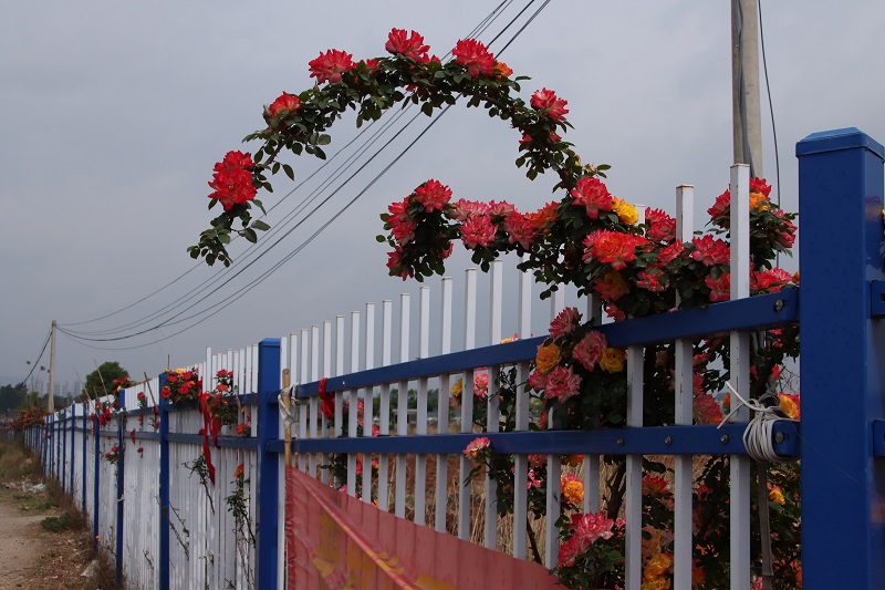 1746517428962602.jpg 68119eeae4b0464522b49ec1.JPG