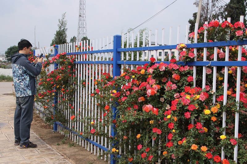 1746517453949918.jpg 68119ef6e4b0464522b49ec2.JPG