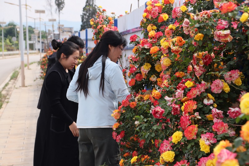 1746517474463486.jpg 68119f17e4b0464522b49ec3.JPG