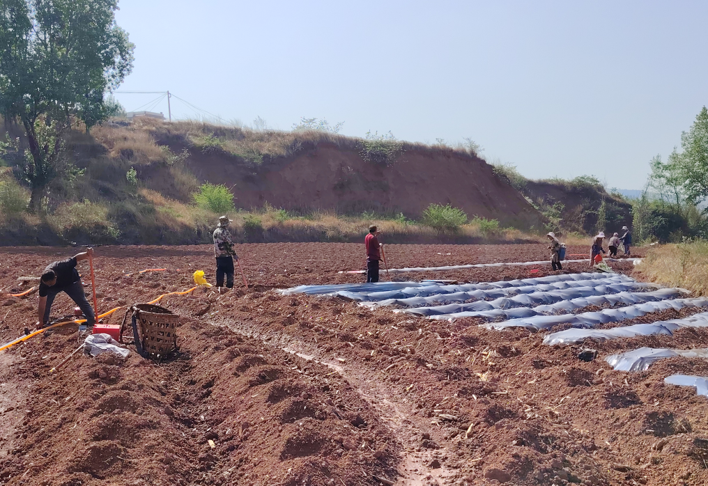 1747035209672077.jpg 3.jpg