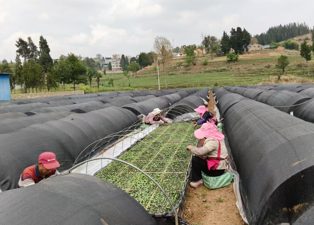 1747035293994400.jpg 1747035265214.jpg