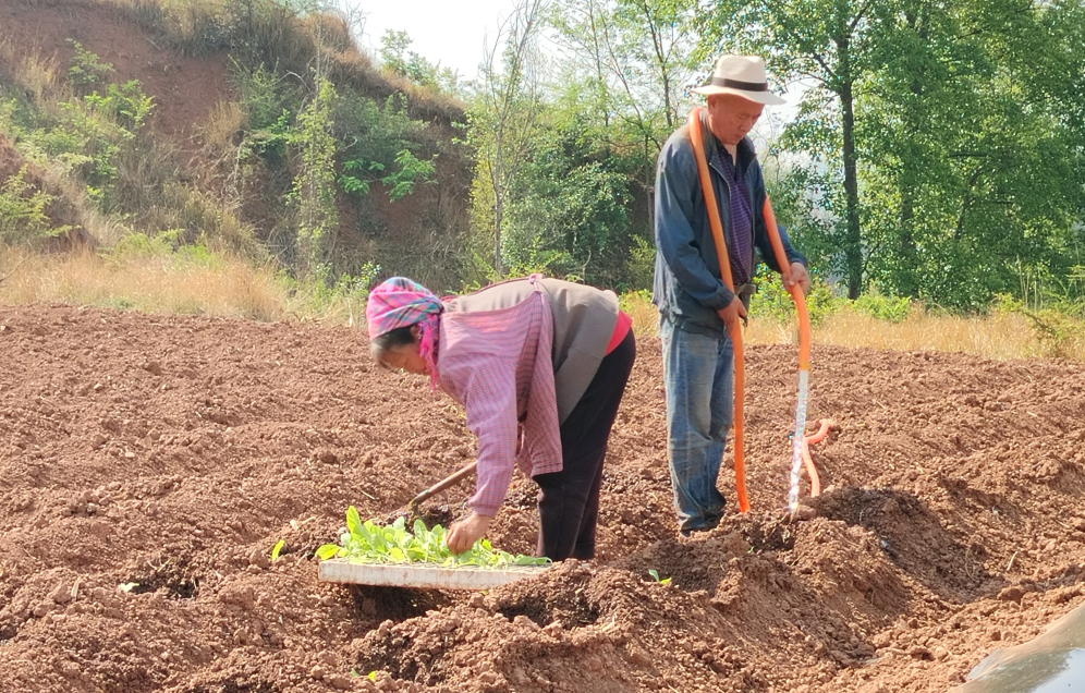 1747035310931727.jpg 5.jpg