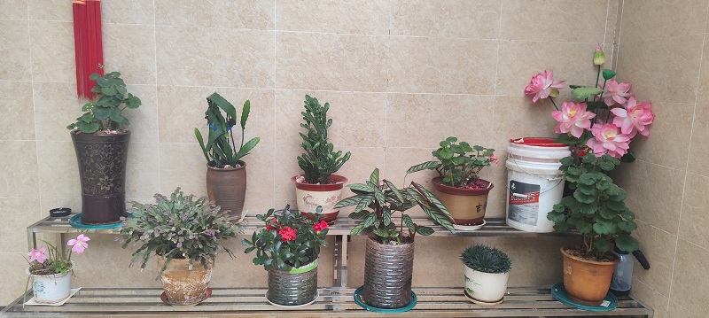 1748251614522083.jpg 682ee2ffe4b0464522b642ee.jpg