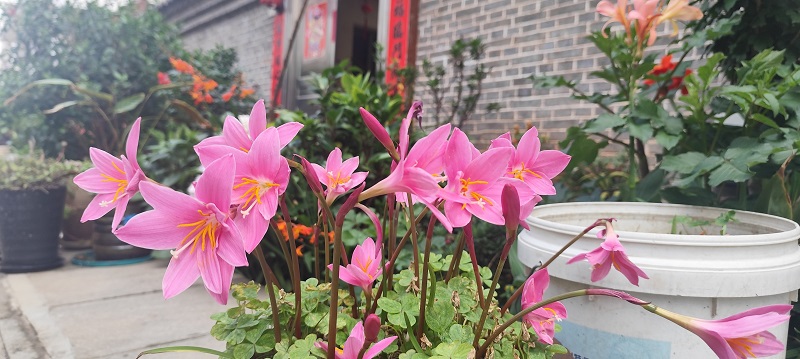 1748251764840534.jpg 682ee33ce4b0464522b64303.jpg