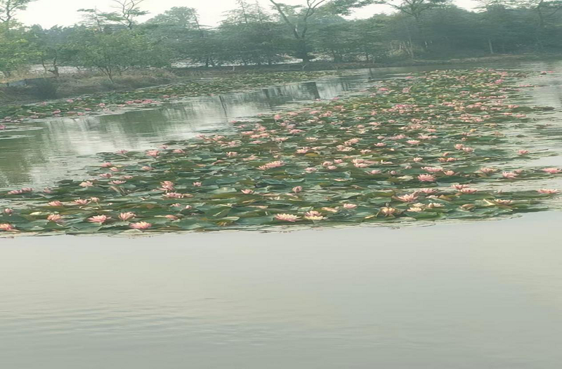 1748938011640301.png 68342d59e4b0464522b69430.png