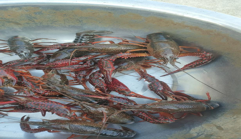 1748938061288308.png 68342d66e4b0464522b69433.png