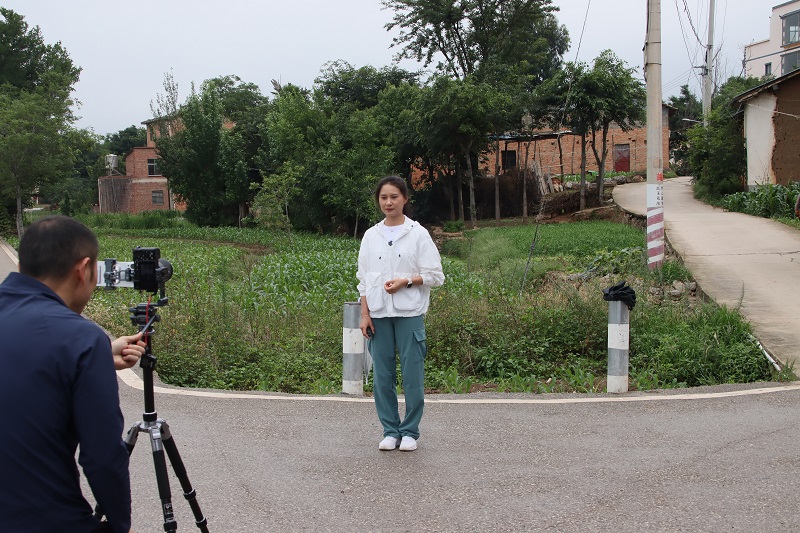 1749437158977461.jpg 683fa39de4b0464522b7385b.JPG