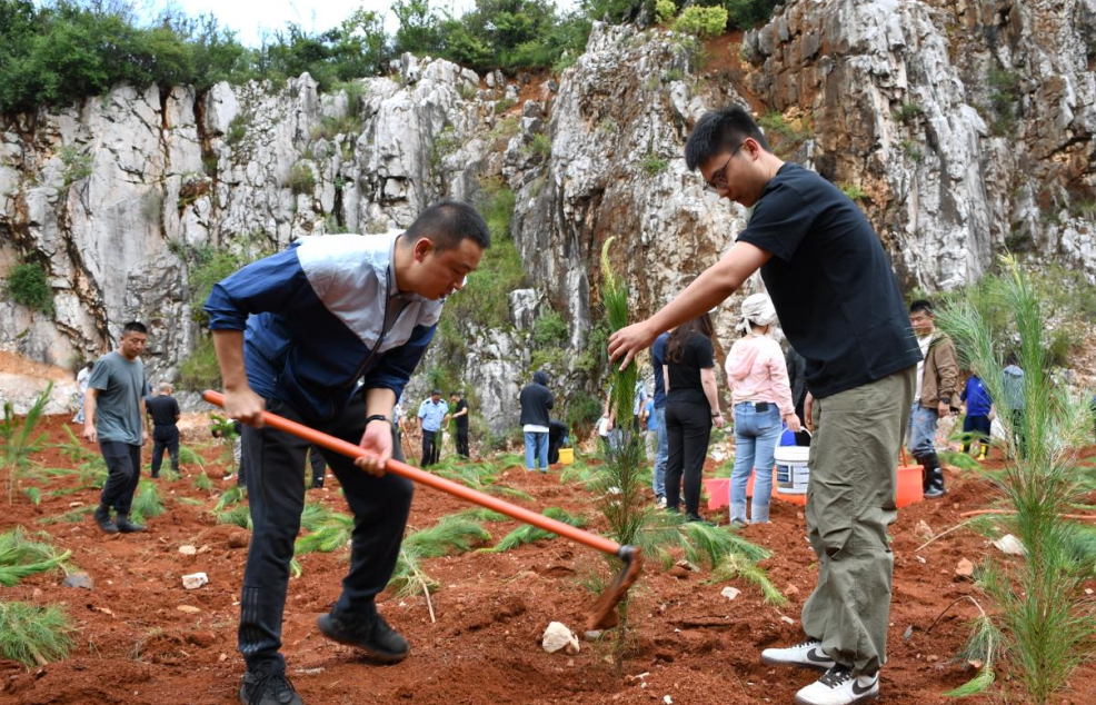 1753257502317780.jpg 1753257471113.jpg