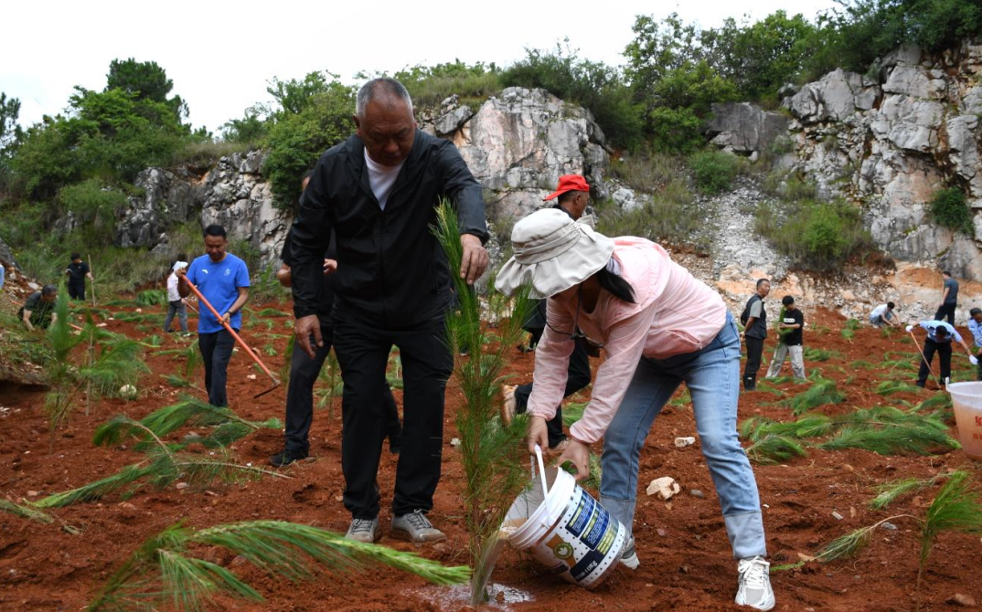 1753257560966679.jpg 1753257531353.jpg