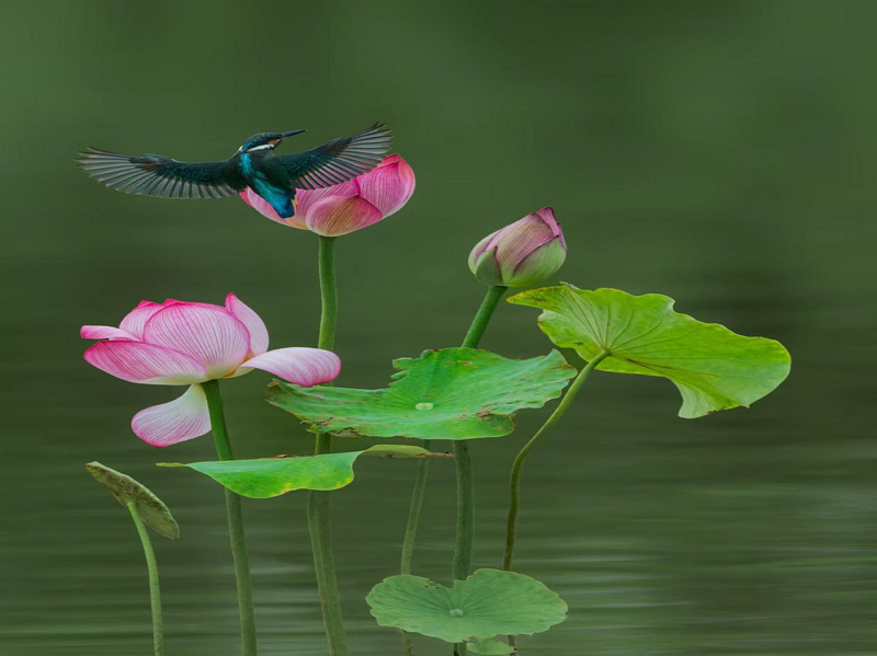 1754477148280020.png 6891b8dde4b0464522bc01f6.png