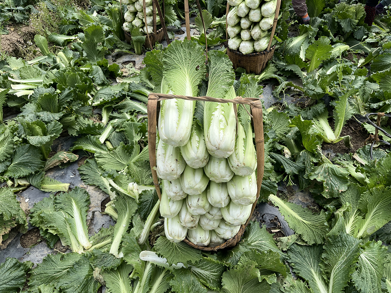 1759977085908591.png 68d9ee61e4b0464522c35df5 (1).png