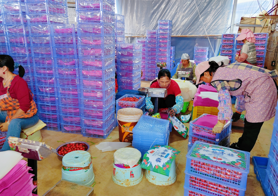 1761030474226610.jpg 1761030424570.jpg