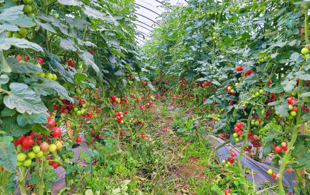 1761030624289718.jpg 1.jpg