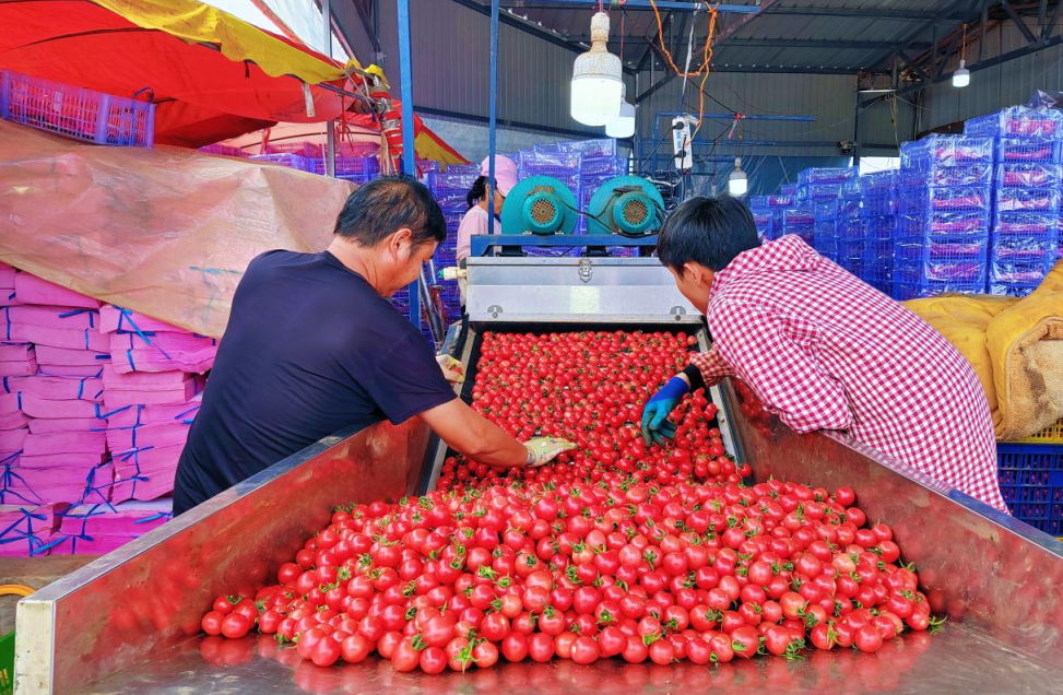 1761030652114874.jpg 3.jpg